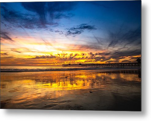 Blue and Gold Show - Metal Print