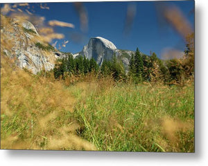 Half Dome from the Meadow - Metal Print