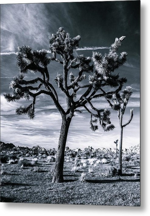 Joshua Tree Uniqueness - Metal Print