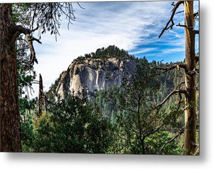 Suicide Rock through the trees - Metal Print