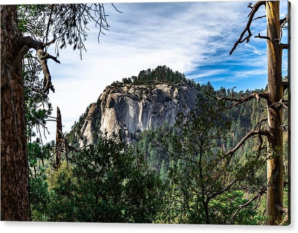 Suicide Rock through the trees - Acrylic Print