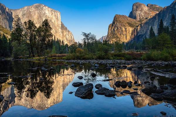 Yosemite Reflections - Art Print
